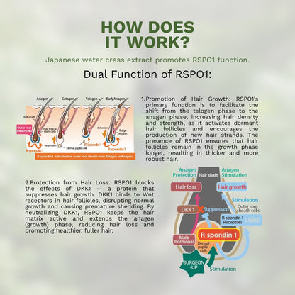 Chemist Shea Hair + Scalp Restore Serum