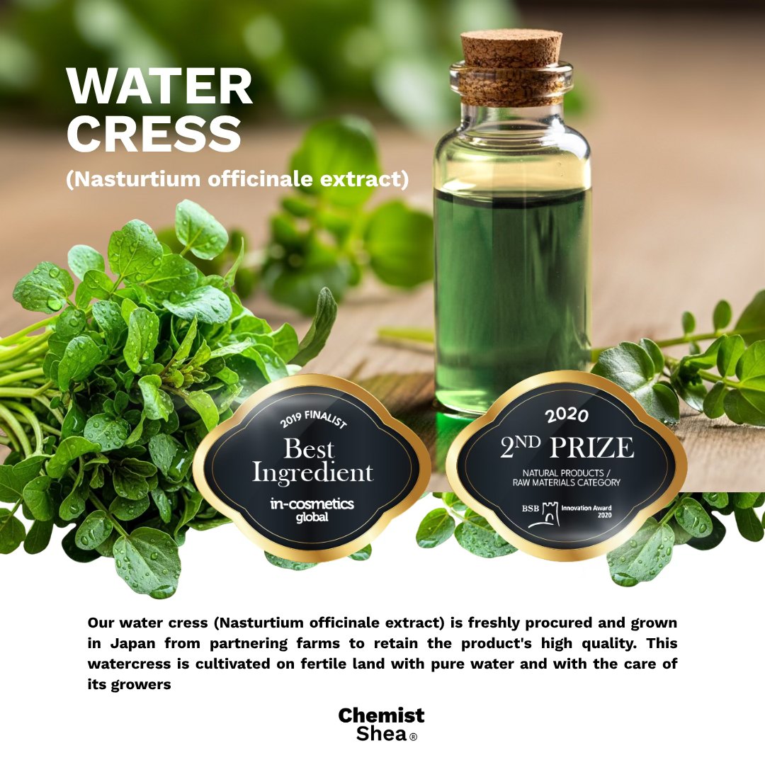 Chemist Shea Hair + Scalp Restore Serum